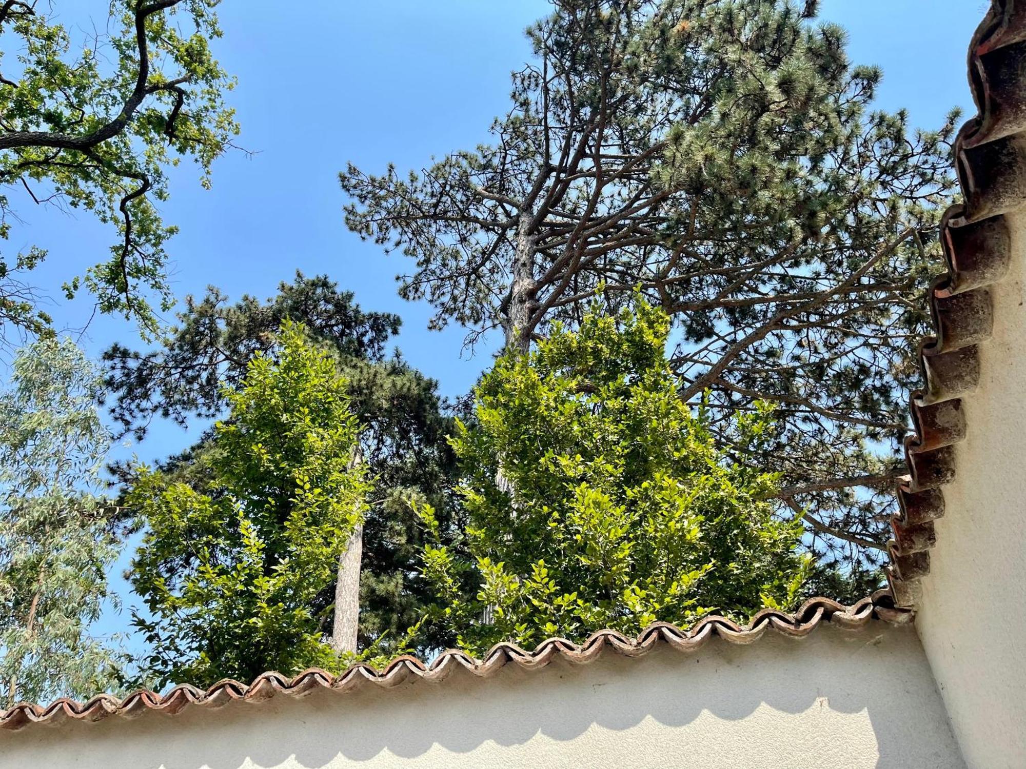Bed and Breakfast Aux Tourelles 1888 - Tres Proche Lyon Tassin-la-Demi-Lune Zewnętrze zdjęcie